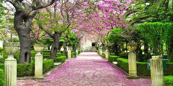 Newlywed couple walking through the lush paths of Giardino Ibleo during a destination wedding in Ragusa.