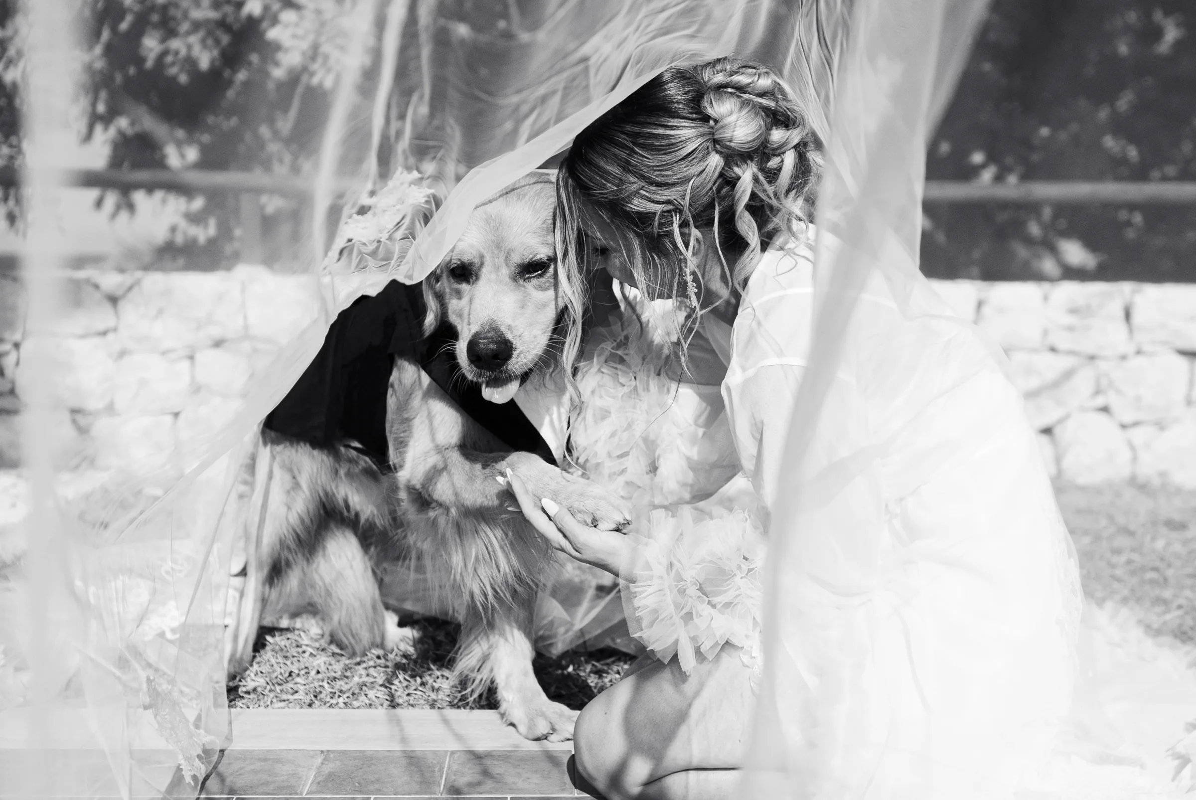 Bride beneath her veil with her dog